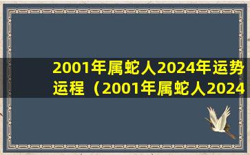 2001年属蛇人2024年运势运程（2001年属蛇人2024年运势运程每月运程 男）